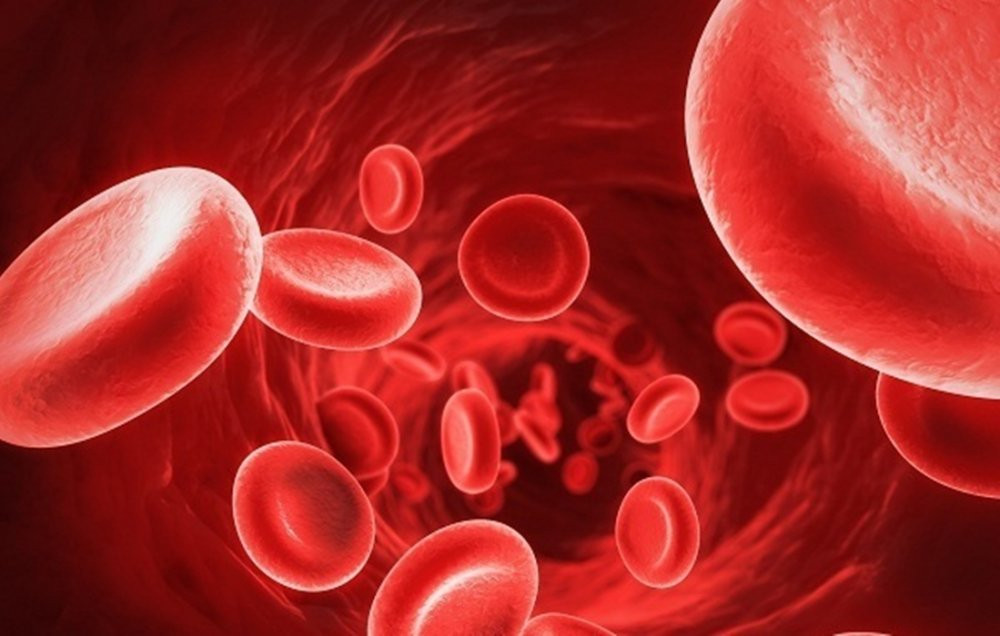 tuan hoan mau healthplus 5