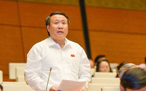 su co formosa: dai bieu quoc hoi buc xuc de nghi xu ly trach nhiem hinh 1