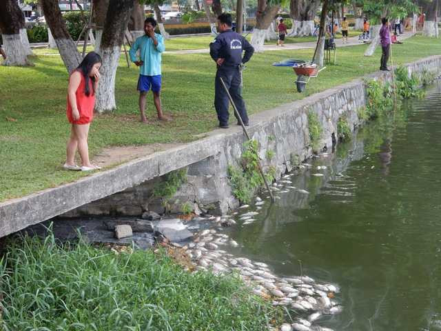 Cá chết khiến Công viên 29-3 ít người tới hóng mát như thường lệ. Một số em nhỏ nhà gần công viên ra công viên, nhưng...Ảnh: Đức Hoàng