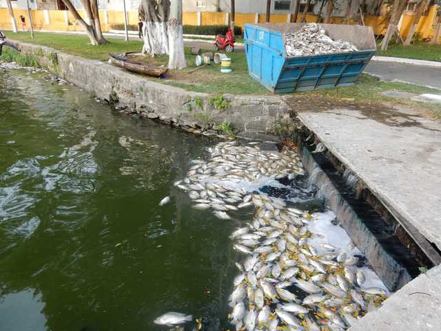 Một số cống nước thải trực tiếp thải nước ra hồ Công viên 29-3 với mùi hôi khó chịu. Ảnh: Đức Hoàng