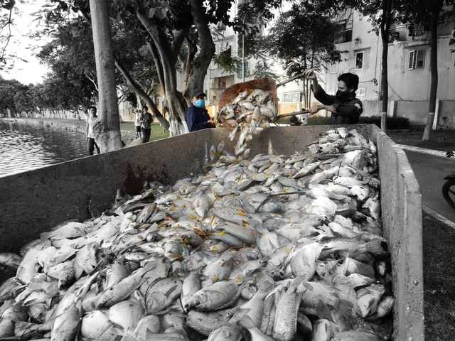 Trong lúc đó, ông Phan Quang Khường đề nghị sớm có biện pháp nạo vét bùn dưới hồ để khỏi ô nhiễm...Ảnh: Đức Hoàng