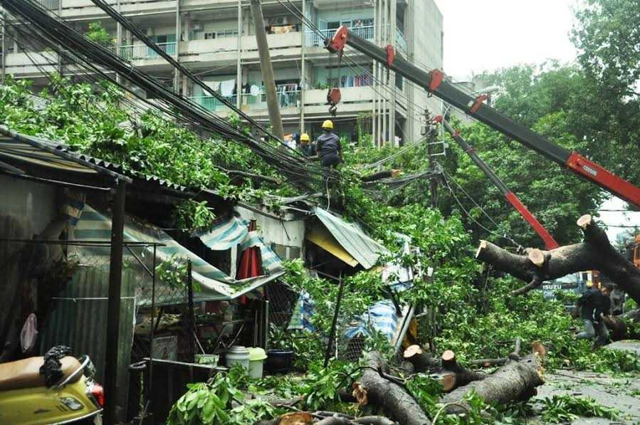 Cổ thụ bật gốc đè 3 ngôi nhà, người dân tán loạn bỏ chạy - ảnh 2