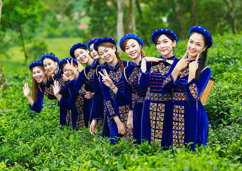 hoa-khoi-sinh-vien--1a