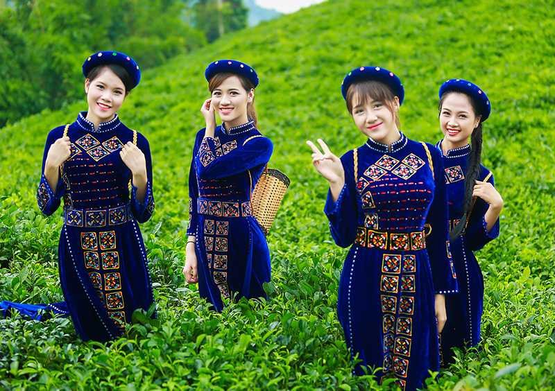 hoa-khoi-sinh-vien--1b