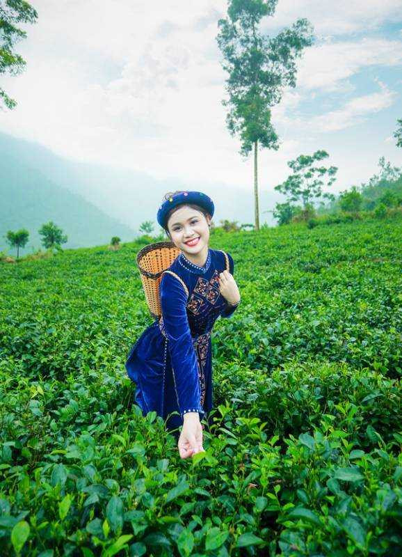 hoa-khoi-sinh-vien--1c