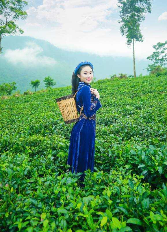 hoa-khoi-sinh-vien--1d