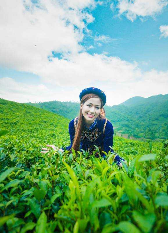 hoa-khoi-sinh-vien--1e