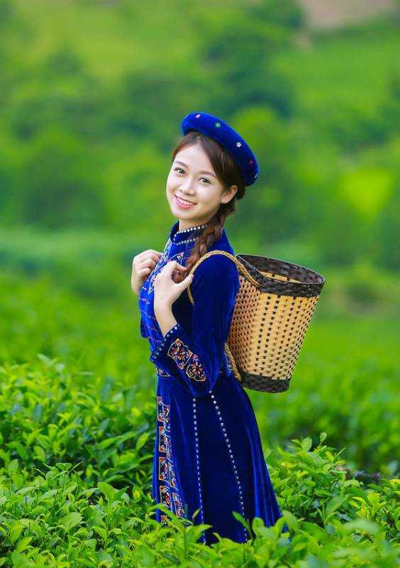 hoa-khoi-sinh-vien--1h