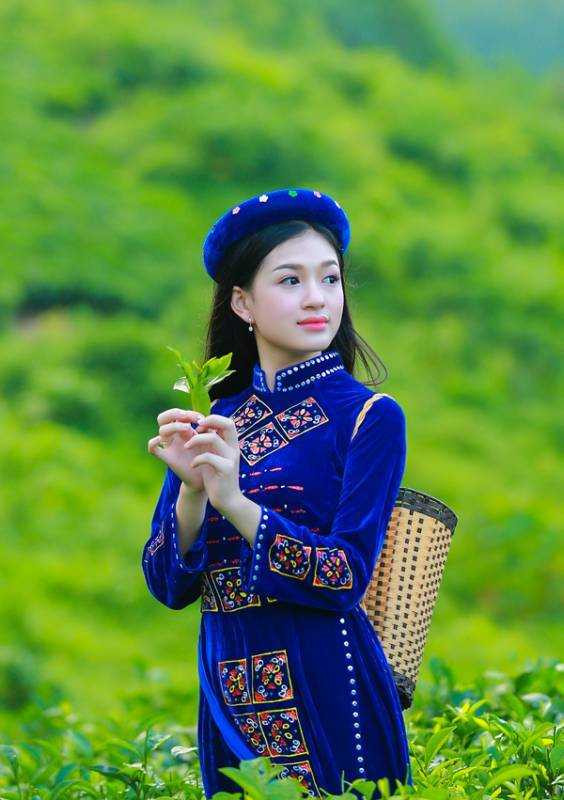 hoa-khoi-sinh-vien--1m