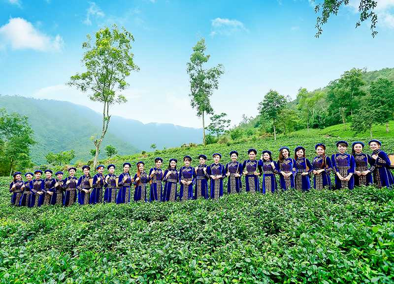 hoa-khoi-sinh-vien--5