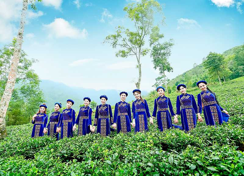 hoa-khoi-sinh-vien--6