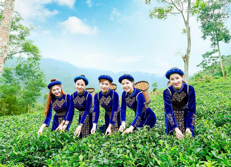 hoa-khoi-sinh-vien--7