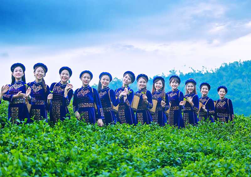 hoa-khoi-sinh-vien--9