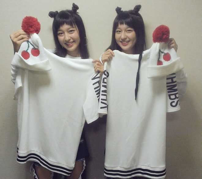 Cap sinh doi noi tieng voi ban cover gay nghien 'Apple Pen' hinh anh 1