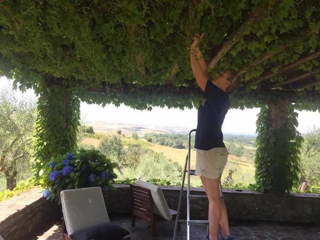 Doi tre du lich vong quanh the gioi voi gia 0 dong hinh anh 4