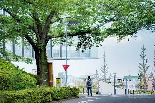 Chu nhan Nobel Y sinh 2016 day tai dai hoc hang dau Nhat Ban hinh anh 5