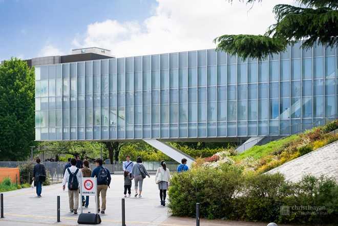 Chu nhan Nobel Y sinh 2016 day tai dai hoc hang dau Nhat Ban hinh anh 9