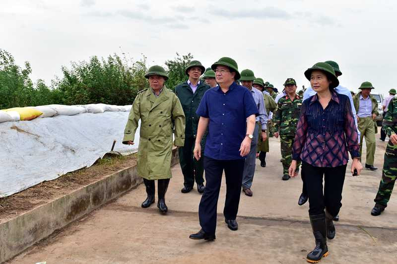 pho thu tuong trinh dinh dung