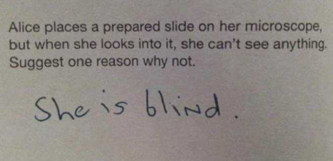 Những câu trả lời bất ngờ ngoài SGK của học trò