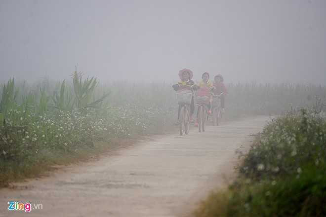 Chinh quyen thao do cau treo, hoc sinh loi suoi den lop hinh anh 1
