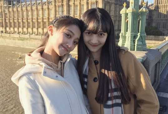 Nhan sac cua chi em sinh doi hoc gioi noi tieng o Trung Quoc hinh anh 1