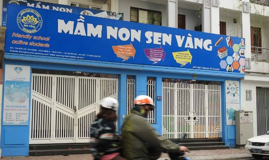 mam-non-sen-vang