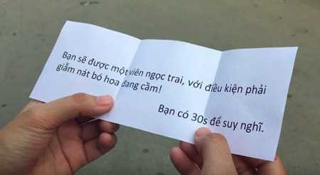 chon hoa hay ngoc 1