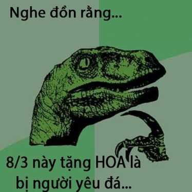 chon hoa hay ngoc 6