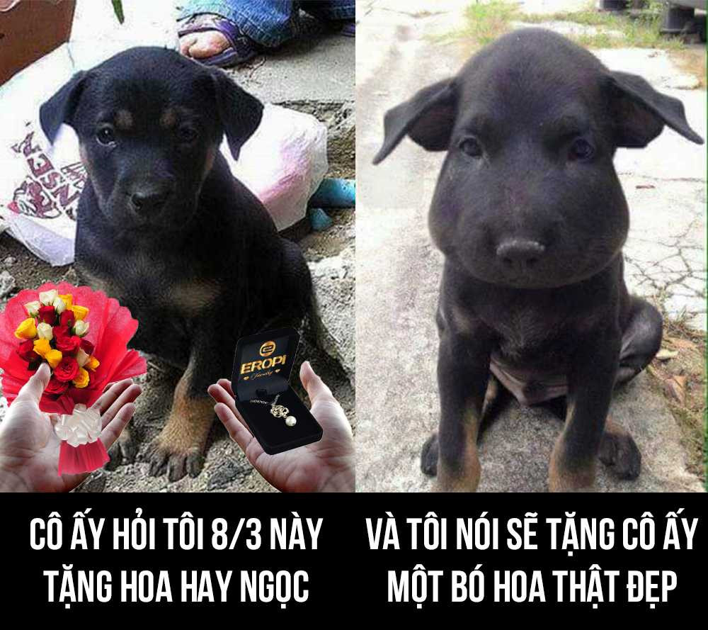 chon hoa hay ngoc trai 10