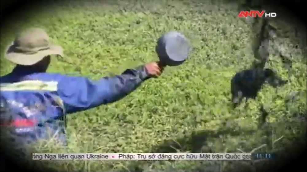 rau-muong-tuoi-nuoc-ban (13)