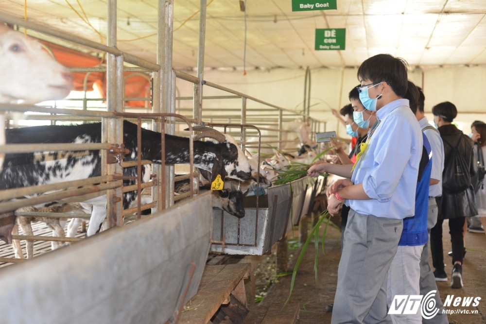 Tham quan trang trai De Trang