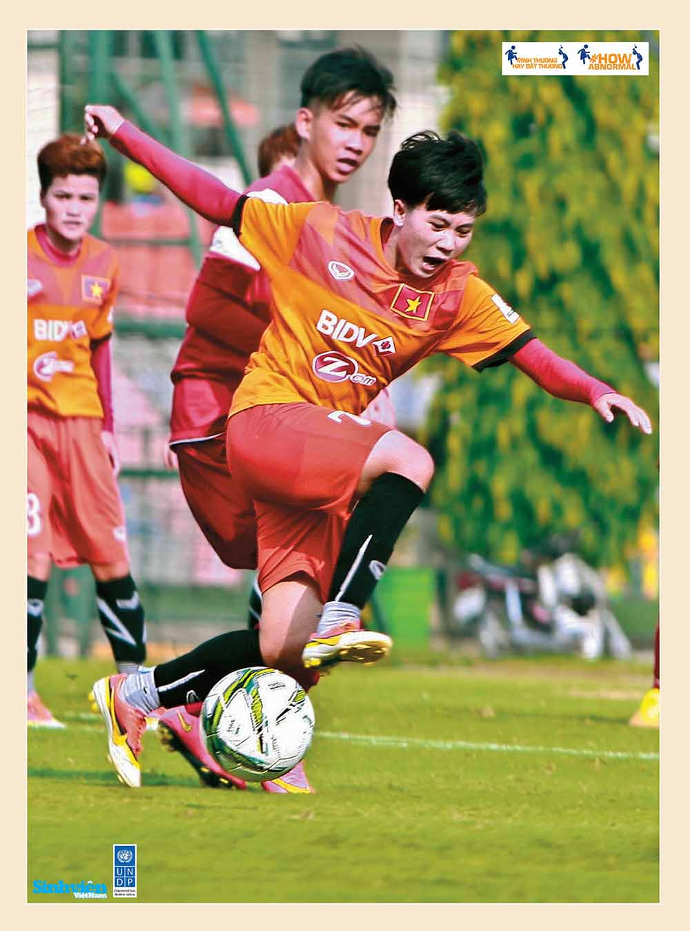 Triển lãm ảnh 'Nữ giới có thể làm được' ảnh 2