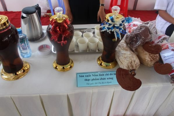 Hinh anh Ngo ngang truoc y tuong khoi nghiep cua sinh vien DH Cong nghe Dong Nai