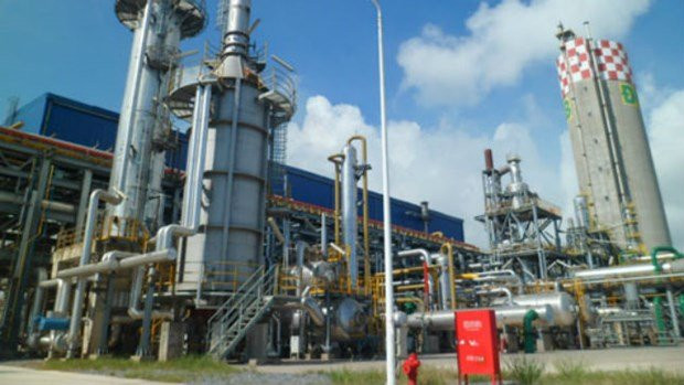 nha may dam ninh binh