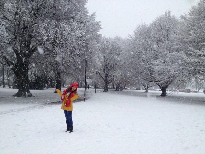 20427797_1863017943715928_448459889_n 6