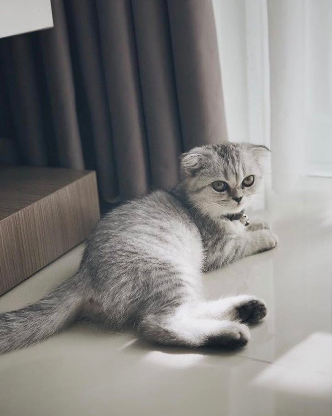 Co gai xinh dep duoc cho la ban gai moi cua Soobin Hoang Son hinh anh 5