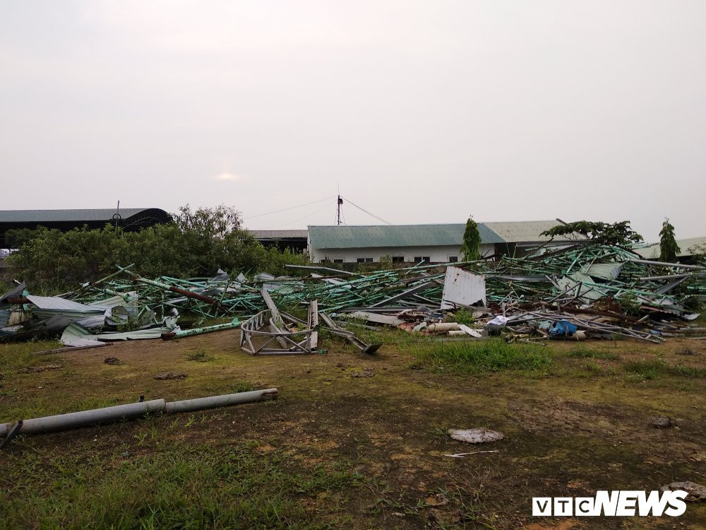 cong ty binh ha (1) 10