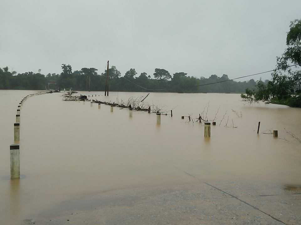 14650286_643973422430828_5737868880417903962_n