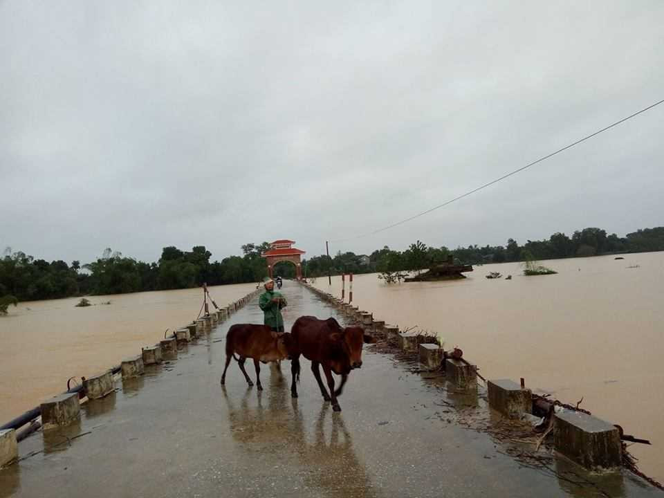 14721463_709368532574195_