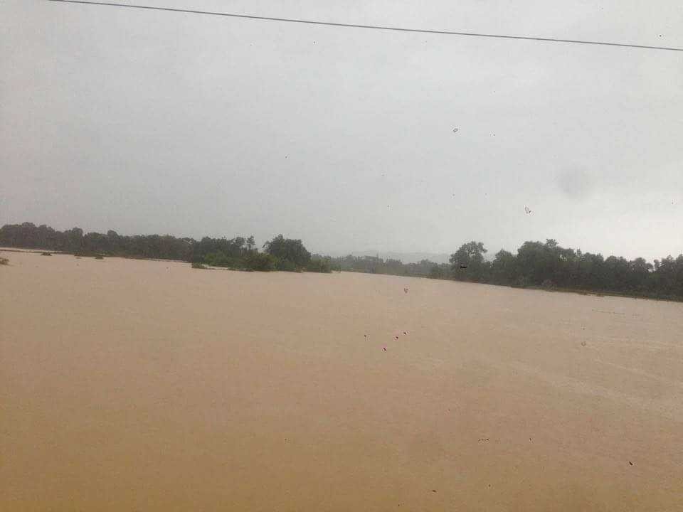 14908298_709368309240884_