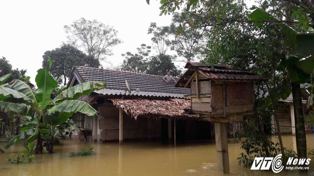 14964197_944816838957653_1988843792_o