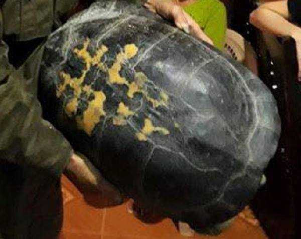 14997209_1139066029540207_2146786177_n