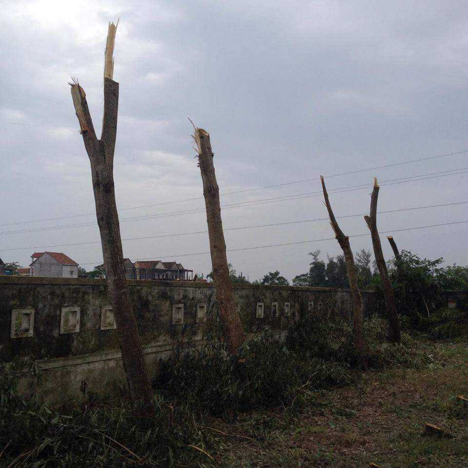 15045815_1700903210227644_1501025907_n