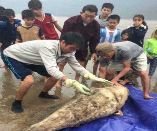 15542095_1120306451419759