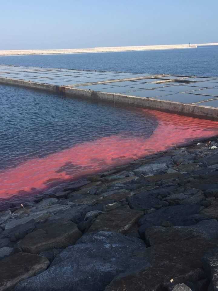 16832184_1631926756822801