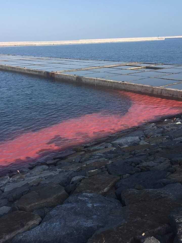 16832184_1631926756822801_2845019810065868368_n-0737