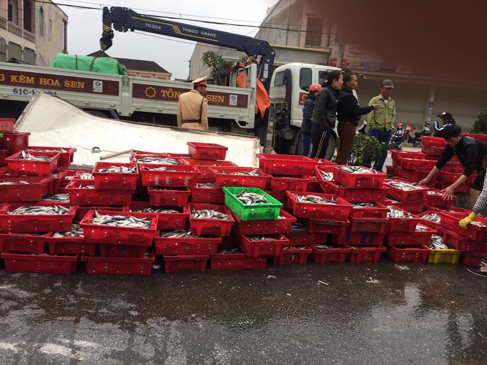 17499211_1262574570525610_52058795792374922_n