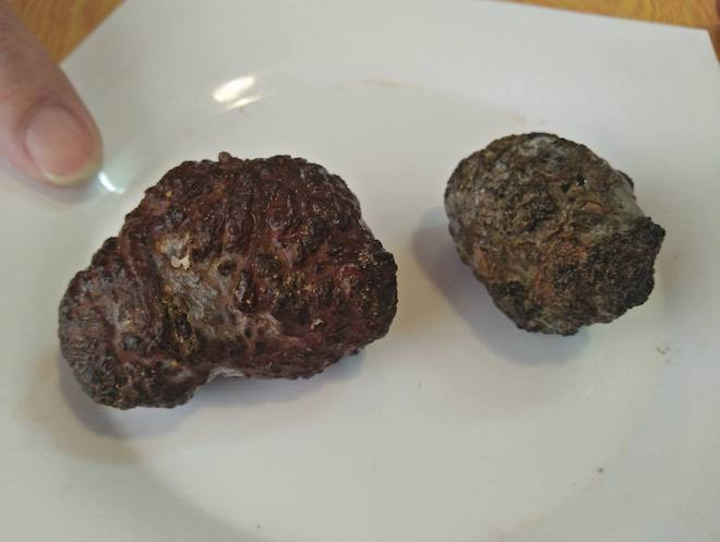 17821674_1307937835986358_1794870506_n