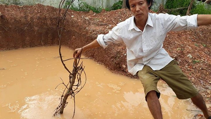 20108466_10203357190927697_8746798994397046087_n