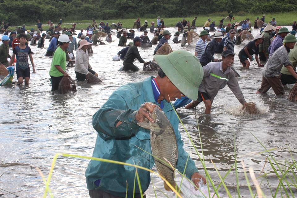 33710688_1273710096099872_2027455439678996480_n 11